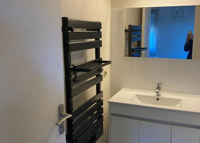 Appt T2 Sept Deniers Avec Clim